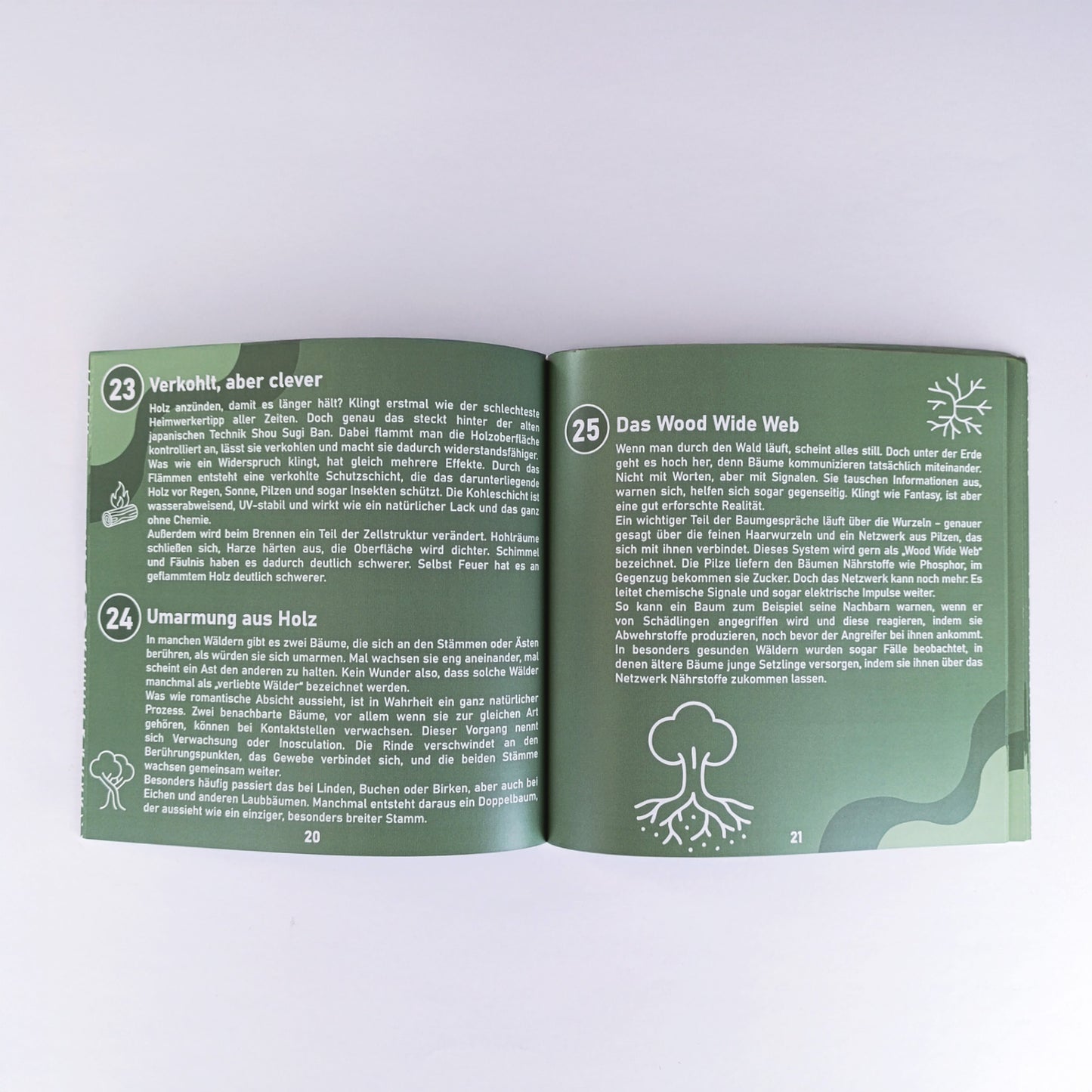 Aufgeschlagenes Buch mit illustrierten Holzwissen-Fakten aus „So tickt Holz“ – verspieltes, luftiges Layout auf Doppelseite