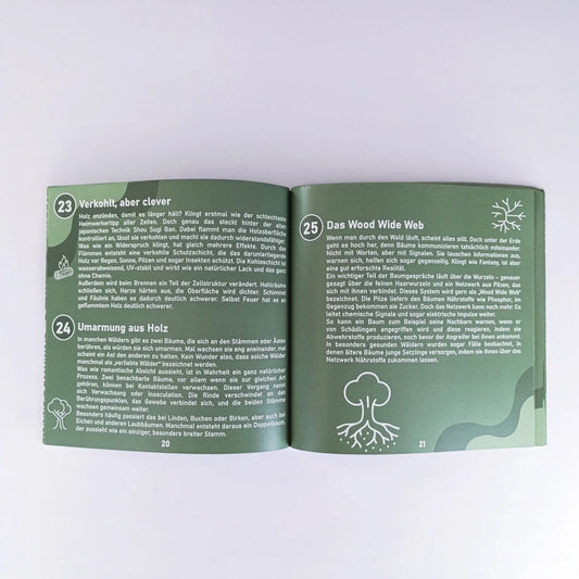 Aufgeschlagenes Buch mit illustrierten Holzwissen-Fakten aus „So tickt Holz“ – verspieltes, luftiges Layout auf Doppelseite