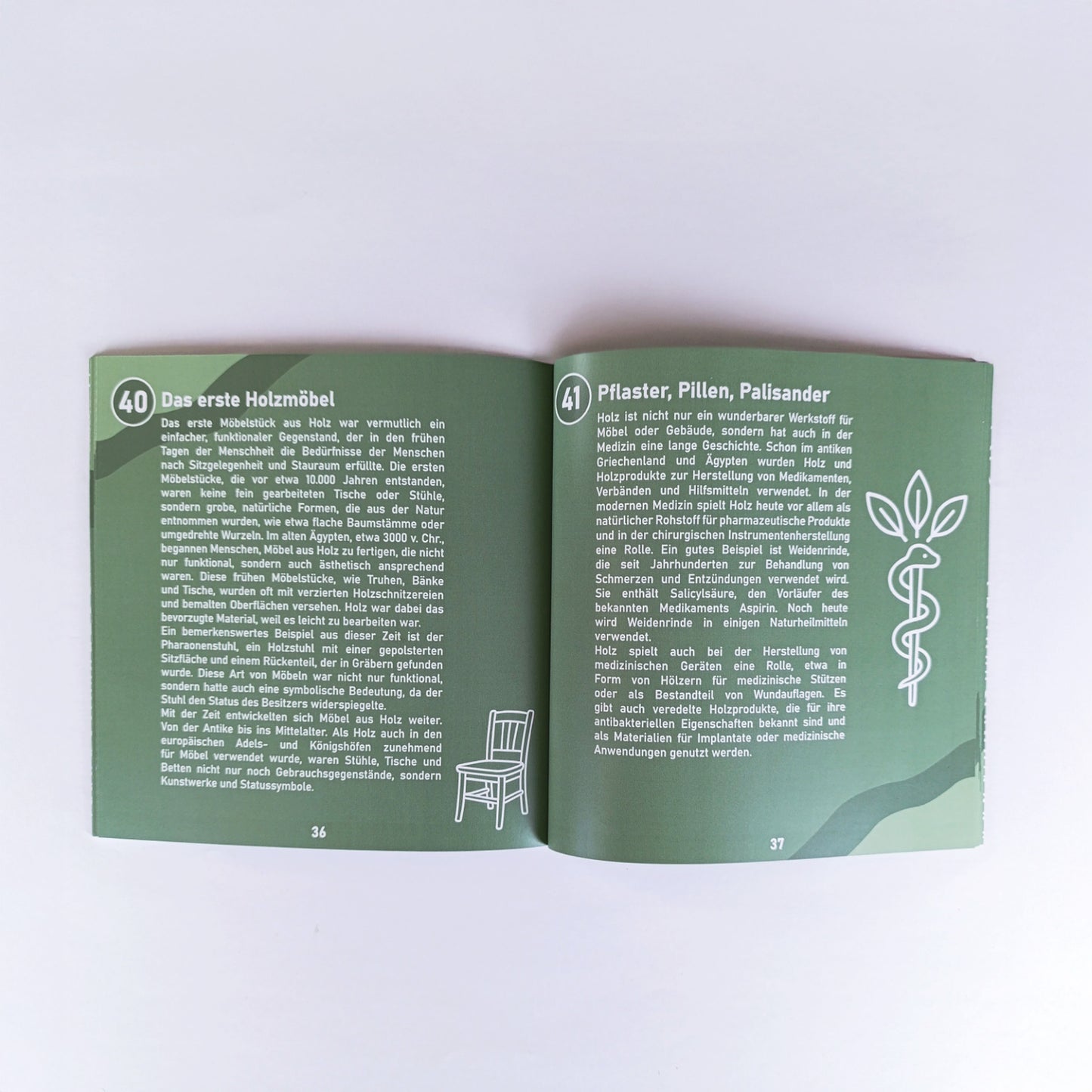 Detailansicht einer weißen Liniengrafik aus dem Buch „So tickt Holz“ – humorvolle Illustration zu einem Holzwissen-Fakt