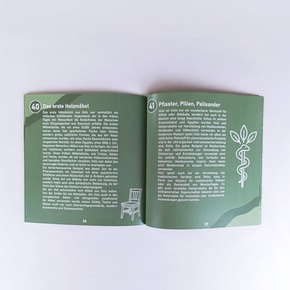 Detailansicht einer weißen Liniengrafik aus dem Buch „So tickt Holz“ – humorvolle Illustration zu einem Holzwissen-Fakt