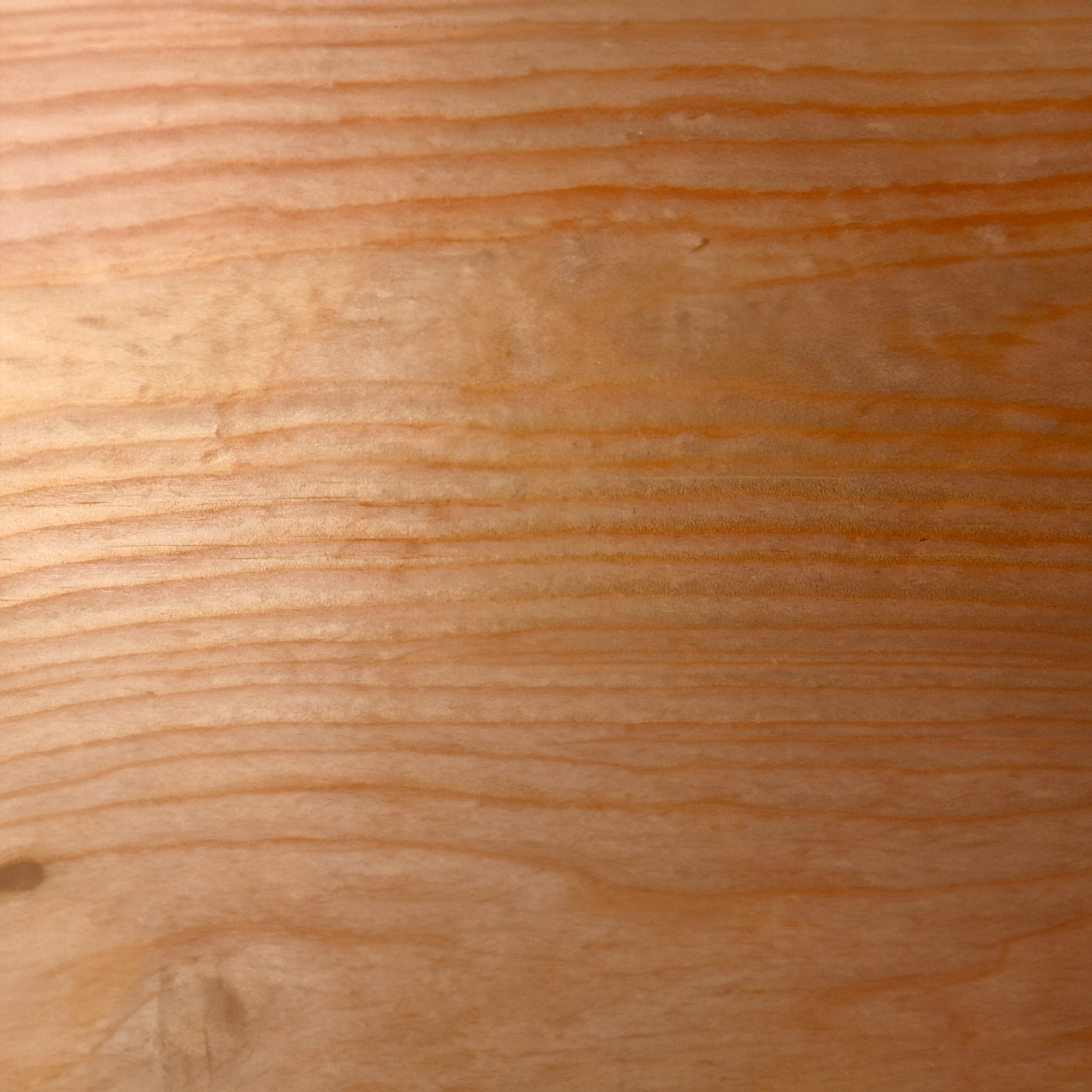 Fichte o nachhaltige Holzpflege aus 100% natürlichen Inhaltsstoffen. studio moreandless